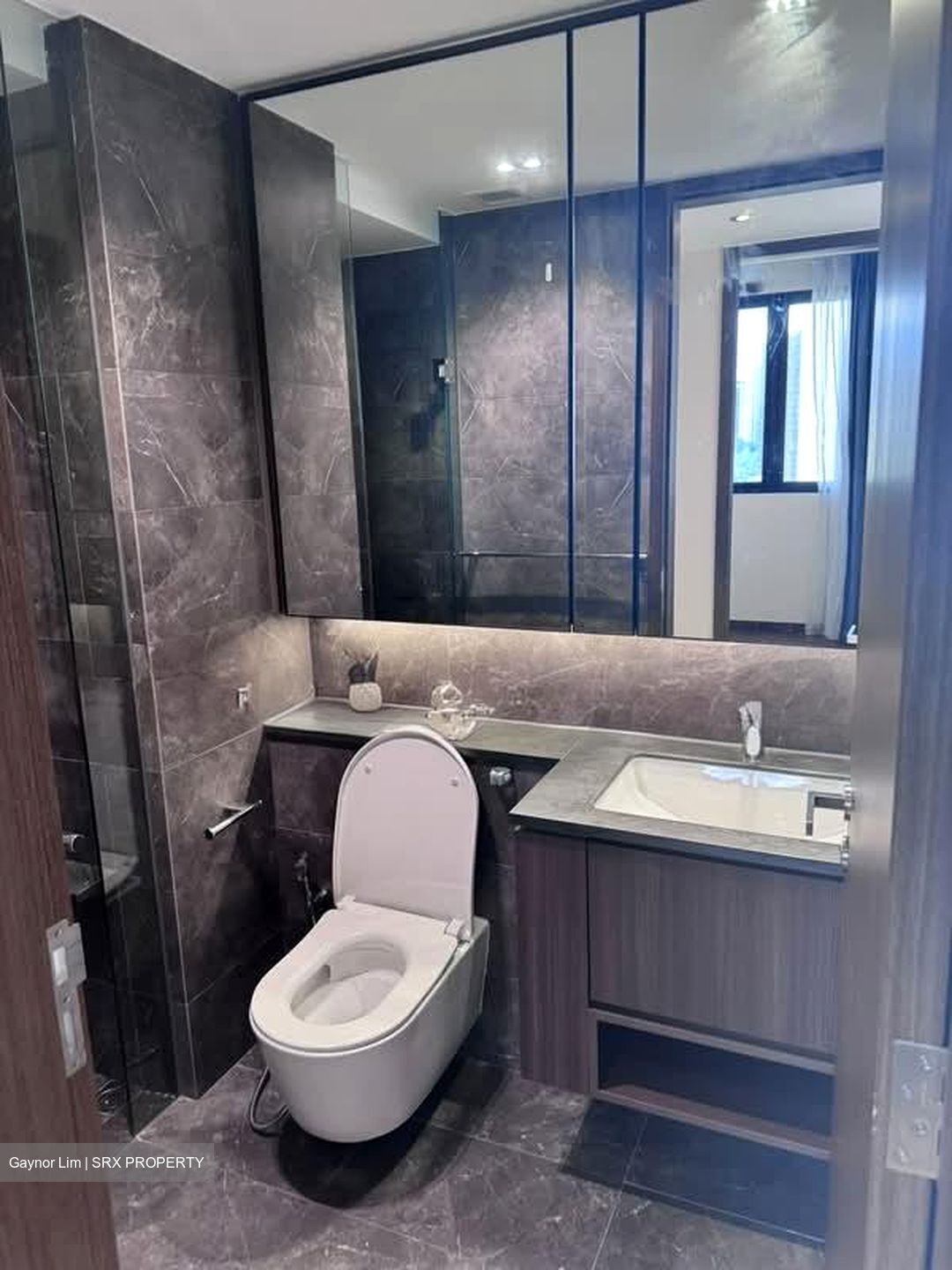 Kopar At Newton (D9), Apartment #566090111